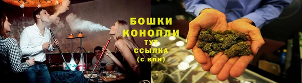 крисы Белокуриха