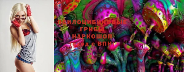 крисы Белокуриха